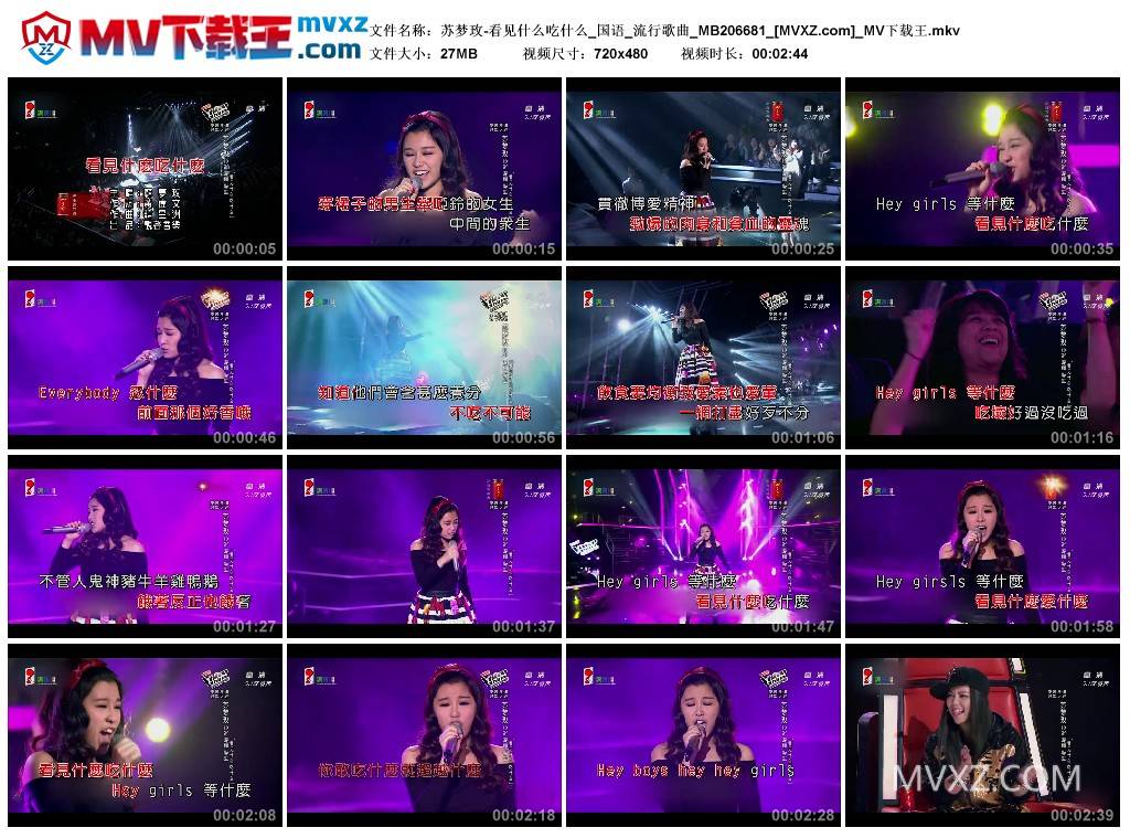 苏梦玫-看见什么吃什么_国语_流行歌曲_MB206681